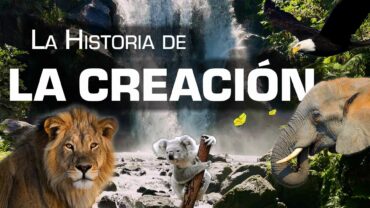 La Historia de la Creación