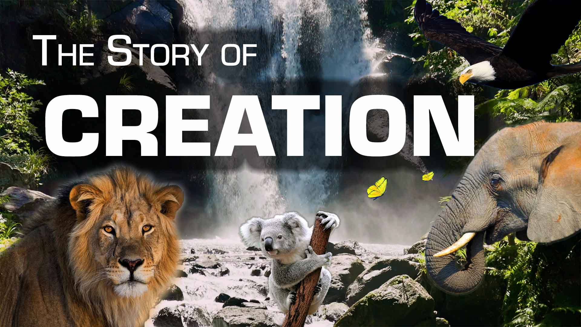 Watch | Jesus 101